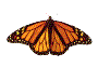 Monarch2.gif (2248 bytes)