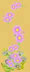 daisies.jpg (3222 bytes)